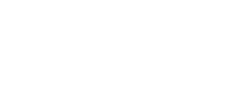 Toyverve - logo